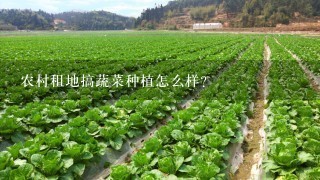 农村租地搞蔬菜种植怎么样？