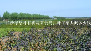 长沙绿悠朴有机蔬菜贵吗？叶子菜大概多少钱1斤？