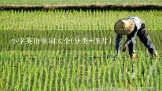 小学英语单词大全(分类+图片)