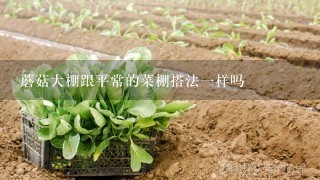 蘑菇大棚跟平常的菜棚搭法1样吗