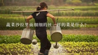 蔬菜沙拉里面细细的丝1样的菜是什么？