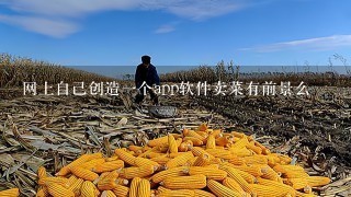 网上自己创造1个app软件卖菜有前景么