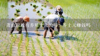 萧山附近有养殖土元的吗？养土元赚钱吗