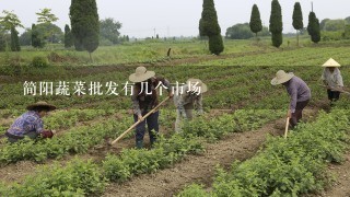 简阳蔬菜批发有几个市场