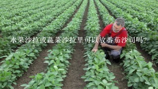 水果沙拉或蔬菜沙拉里可以放番茄沙司吗？