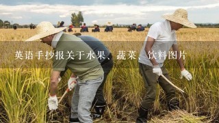 英语手抄报关于水果、蔬菜、饮料图片