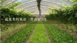 蔬菜类的英语（带音标）？