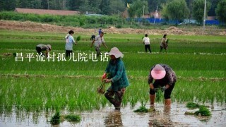 昌平流村孤儿院电话