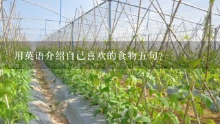 用英语介绍自己喜欢的食物5句？