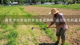 蔬菜沙拉里面的菜需要煮熟吗 适合生吃的蔬菜沙拉