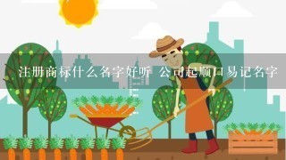 注册商标什么名字好听 公司起顺口易记名字