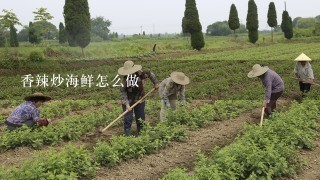 香辣炒海鲜怎么做