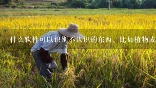 什么软件可以识别不认识的东西、比如植物或动物？