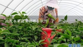 批发水果蔬菜用哪个软件