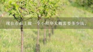 现在市面上做1个小程序大概需要多少钱。