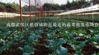 成都武侯区机投镇附近最近的蔬菜批发市场在哪里