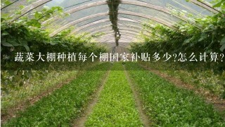 蔬菜大棚种植每个棚国家补贴多少?怎么计算?悬赏!