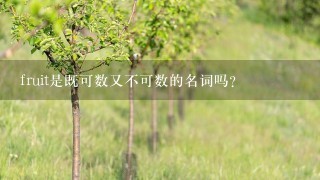 fruit是既可数又不可数的名词吗？