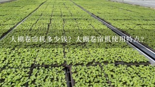 大棚卷帘机多少钱？大棚卷帘机使用特点？