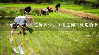 10亩连栋大棚造价多少，10亩连栋大棚造价多少