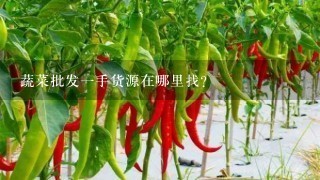 蔬菜批发1手货源在哪里找?