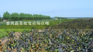 番禺蔬菜批发市场在哪