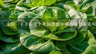 求问1下下面这个火锅摆盘中间的绿色蔬菜叫什么？