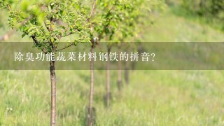 除臭功能蔬菜材料钢铁的拼音？