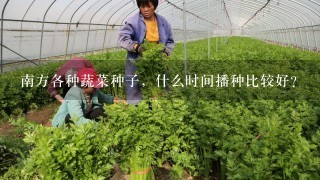 南方各种蔬菜种子，什么时间播种比较好？