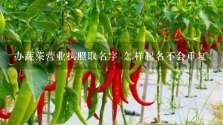 办蔬菜营业执照取名字 怎样起名不会重复