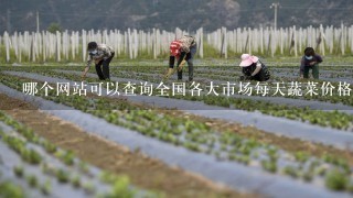 哪个网站可以查询全国各大市场每天蔬菜价格及行情走