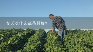 春天吃什么蔬菜最好？