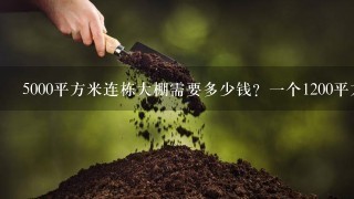 5000平方米连栋大棚需要多少钱？1个1200平方米的日光温室大棚需要多少？