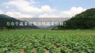 方巾牛蔬菜批发市场蔬菜价格？