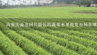 离重庆渝北回兴最近的蔬菜水果批发市场在哪里？