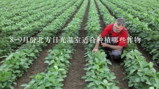 8-9月份北方日光温室适合种植哪些作物