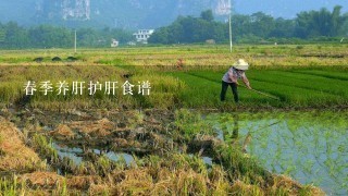 春季养肝护肝食谱