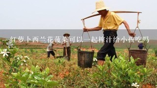 红萝卜西兰花菠菜可以1起榨汁给小孩吃吗