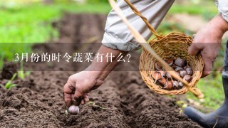 3月份的时令蔬菜有什么？