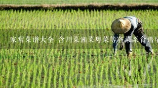 家常菜谱大全 含川菜湘菜粤菜等各菜系食谱早餐煲汤做粥面试甜点西餐等各美食果豆肉等健康好食材肝胃病高