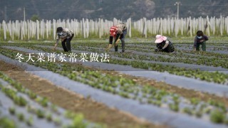 冬天菜谱家常菜做法