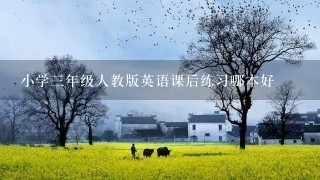 小学3年级人教版英语课后练习哪本好