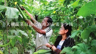 大棚蔬菜自动化占地20亩需多少钱