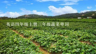 英语4年级上册3年级蔬菜单词