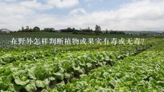 在野外怎样判断植物或果实有毒或无毒？