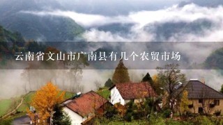 云南省文山市广南县有几个农贸市场