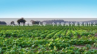 10元快餐菜谱1大荤1个半荤两个素菜有什么？