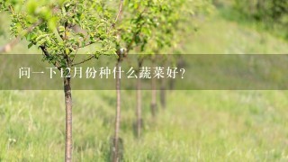 问1下12月份种什么蔬菜好?