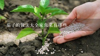 茄子的做法大全家常菜有哪些