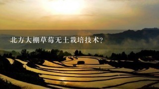 北方大棚草莓无土栽培技术？